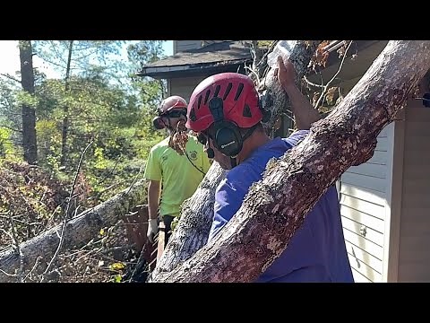 Mennonite Disaster Service, October 11, 2024