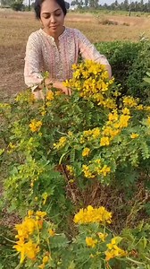 🌸🌸natural Herbal oil to order our farm fresh products check www.organicfarmer.store 👍😊 | OrganicFarmer