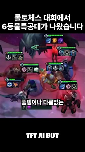 롤토체스 대회에서 6동물특공대가 나왔습니다