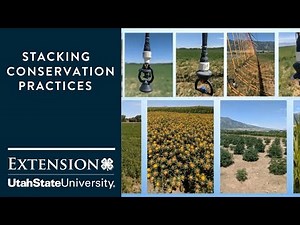Stacking Conservation Practices