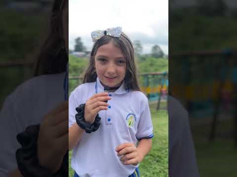 Análisis de incendios forestales con Halocode - Equipo MindBots