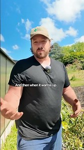 What are some of your fav subtropical fruits?