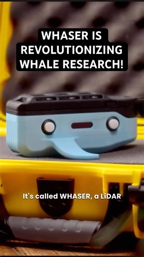 Meet WHASER: The Drone Revolutionizing Humpback Whale Research!