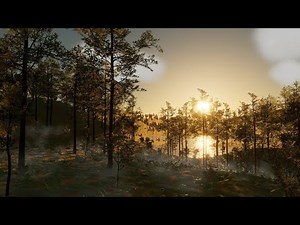 Procedural Environment Generation in Unity (Real-Time Graphics)