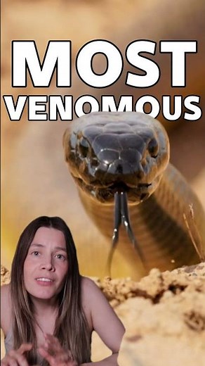 50x More Toxic Than a King Cobra!? #venomouscreatures