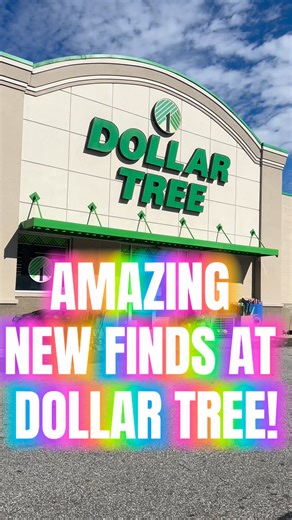 271K views · 1.7K reactions | Amazing new finds at Dollar Tree! This store had some incredible new finds today! #dollartree #dollartreefinds #dollartreeshopping #newatdollartree #dollartreecommunity #dollartreeobsessed #dollartreeaddict #newatdollartree #dollarstorefinds | CassidysCorner | Facebook