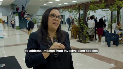 What are Invasive Alien Species (#IAS) and how is this issue being addressed under the Convention on Biological Diversity? 🎥 In this interview, United Nations Biodiversity Programme Management Officer Marianela Araya explains what to expect from discussions at #SBSTTA27 in Panama. | United Nations Biodiversity
