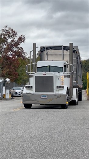 Pretty nice peterbilt hauling woodchips #trucking #gearjammer #trucker #largecar #peterbilt | PJ Sipler