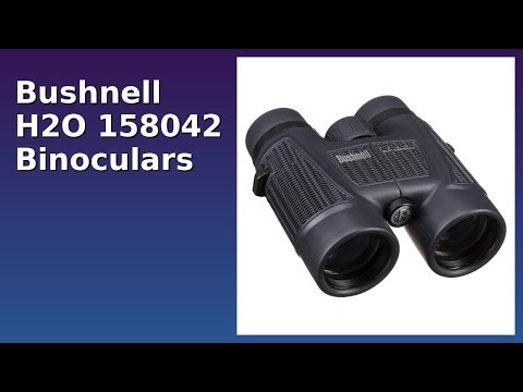 REVIEW (2025): Bushnell H2O 158042 Binoculars. Features.