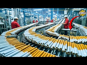 Inside the Cigarette Factory: How Cigarettes Are Really Made?