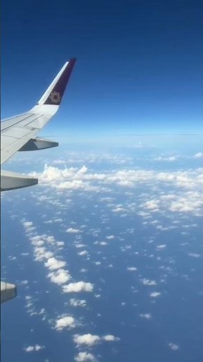 #flightview #sky #plane #tour