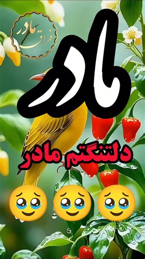 GOLESTAN on Instagram‎: "👇💔ڪـــــپشن ‌‌‌‎‌‌‎‌‌‌‎‌‌‌‌‎‌‌‌‎‌‌ ‎‌‌‌‎‌‎‌‌‌‌‌‌‌‌‌‌‌‌‌‎‌‌‌‎‌‌‌‌‎‌‌‌‌‌‌‌‌‌‌‌‌‌‌‌‌‌‌‎‌‌‌‎‌‌‌ مــــــــ♡ـــــادرم دلم تنــگ است... تنگ عزیــزے ڪھ یادش همیشھ بامــن است اماخــودش نیست عزیـزے ڪھ بی خبر بارسفر بست وجسمـش رابھ خـاڪ سپـردم😥 روحش رابھ آسمــان😢 وغم نبـودنش رابھ دلم آرے دلم تنــگ است وایــن دلتنگی تا زمـانی ڪھ نفس میڪشم بامــن است🥺 ‌‌‌‎‌‌‎‌‌‌‎‌‌‌‌‎‌‌‌‎‌‌ ‎‌‌‌‎‌‎‌‌‌‌‌‌‌‌‌‌‌‌‌‎‌‌‌‎‌‌‌‌‎‌‌‌‌‌‌‌‌‌‌‌‌‌‌‌‌‌‌‎‌‌‌‎‌‌‌‌‎‌‌‌‌‌‌‌‌‌‌‌‌‌‌‌‌‌‌‌‌‌‌‎‌‌‌‎‌‌‌‌‎‌‌‌‌‌‌‌‌‌‌‌‌‌‌‌‌