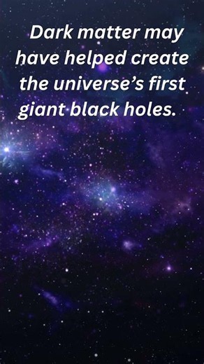Did Dark Matter Create the First Black Holes ? - 2
