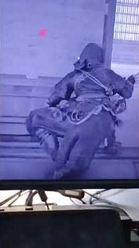 Logitech Z313 Sound Check