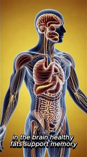 Hazelnuts Benefits Explained | Real Nutrition for Brain Heart & Energy