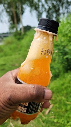 ✅ Showing Survival Skills: I Patched a Hole Using a Bottle in the Wilderness 💧🌲