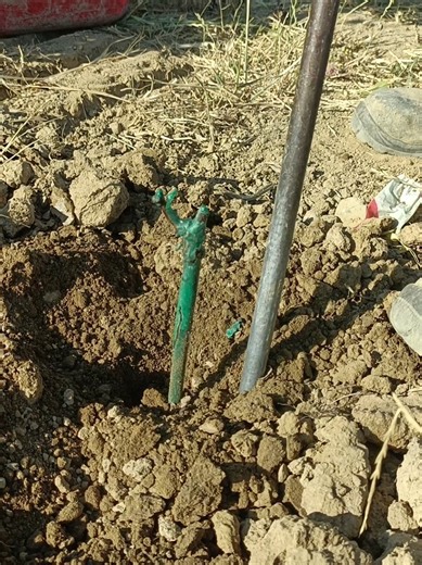 Servizi agricoli vigna Chianti Toscana | potatura, piantagione, barbatelle