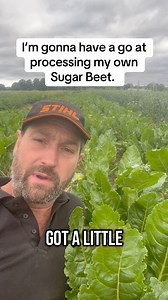 I’m gonna have a go at processing my own Sugar Beet. | Petite Peonys