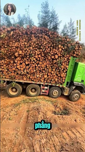 Off-Road Logging Truck Driving Skills!