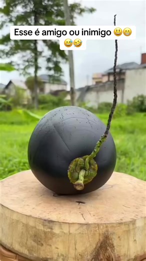 Benefícios de estar com uma trans em vez de uma mulher