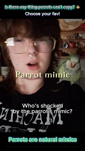 Parrot: I can repeat whatever you say 🐦🤯 #parrot #birds #animals | parrot