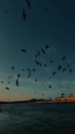 Embracing Faith in Jesus Christ