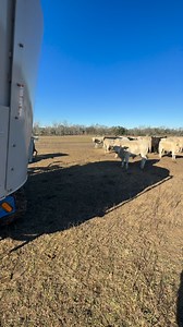 Not Today M20, Not Today!! | Will Meadows