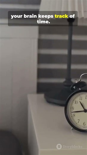 Why You Wake Up Before Your Alarm ⏰🧠 | short videos | sci-fi | brain magic #shorts #shortvideo