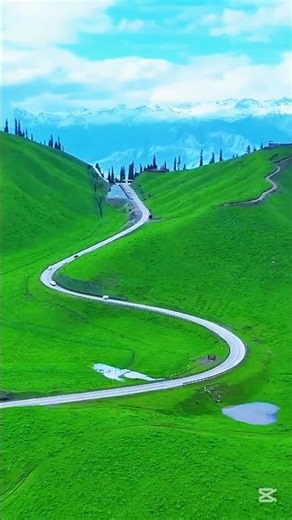 Quran Recitation With Urdu Translation