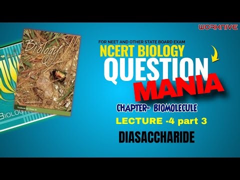 BIOMOLECULES | Lecture 4 part 3 l DIASACCHARIDE | NCERTNotes |NEET |Class 11 I#NEET2026