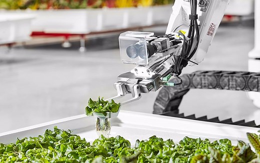 这机器人农场，全程自动化种菜，收成提高30倍，还节省大量用水