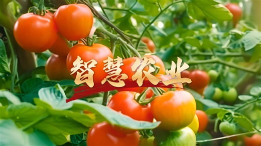 用英语介绍《智慧农业》