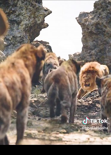 Simba's Bravery in The Lion King Explained