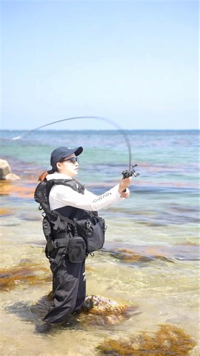 #DAIWA#ロックフィッシュ#キジハタ#海釣り初心者#渓流釣り#釣り女子#陸っぱり#海釣り#fishing #shorts