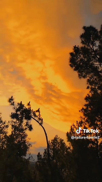 Experience the Beauty of Nature This Spring Break