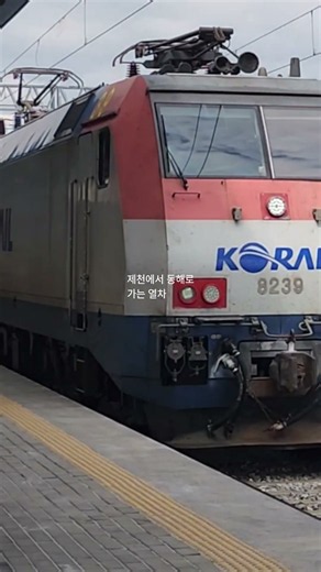 제천역 #shorts #무궁화호 #열차 #기차 #동해역 #충북선