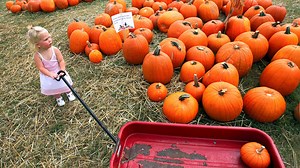 Here's a list of fall festivals that are canceled or will be virtual due to COVID-19