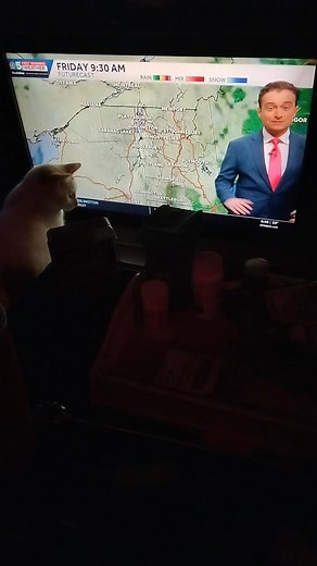 He's been sitting in front of this TV for about a half an hour now watching the news | Todd Pelkey