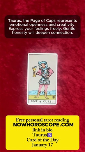 Taurus♉Card of the Day #tarotastro #tarot #dailytarot