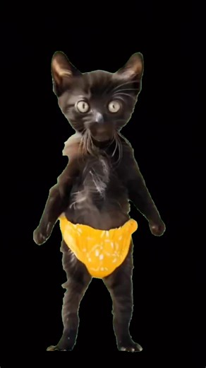 bogdanj2014 (@bogdanj2018)’s videos with luda za tobom - ☀️