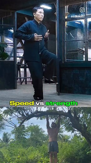 Wing chun vs boxing☠️🔥 #martialarts #wingchun #boxing #calisthenics #workout | Lemzthenics