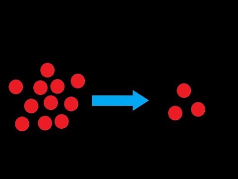 Diffusion in animals and plants