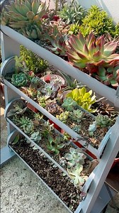 Turn trash into treasure with this DIY 4-tier PVC pipe planter! #DIYPlanter #BestOutOfWaste #shorts