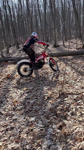Tree fallen across the trail - 1986 Fantic 301