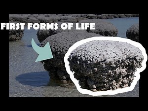 When life first began - The Archean