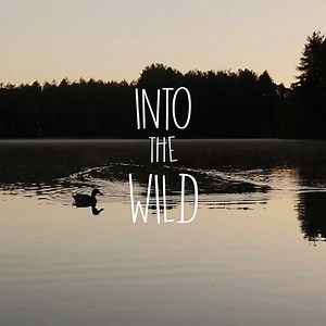 En immersion dans la nature 🌳 | Center Parcs France