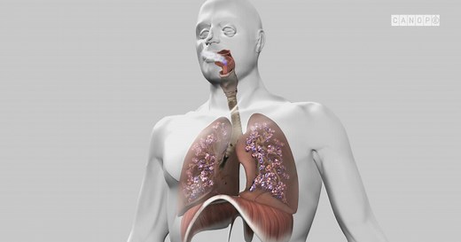 La respiration | Lumni Enseignement