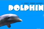 Play Dolphin | Free Online  Games. KidzSearch.com
