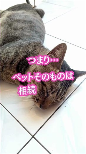 もしものとき、ペットを守る方法①#shorts #相続 #ペットのいる暮らし