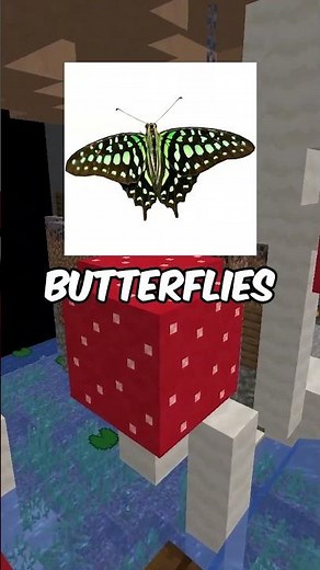 explaining every scp #63